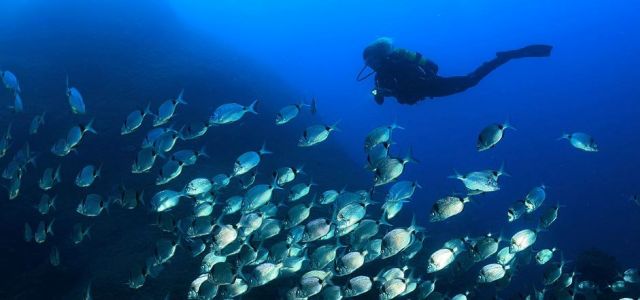 submarinisme.jpg