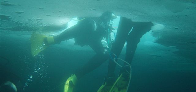 buceo.JPG