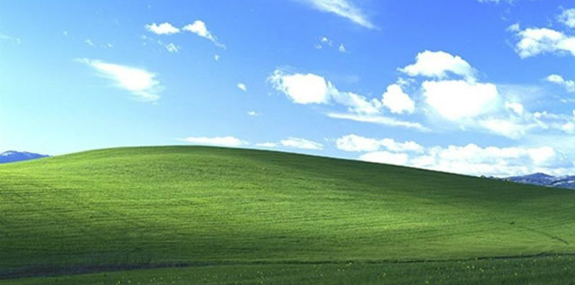bliss.jpg