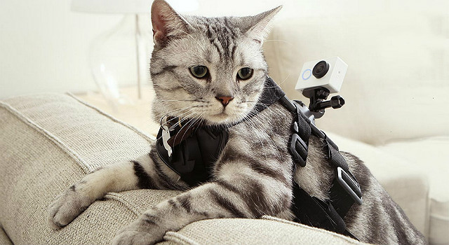 xiaomi-gato-action-cam-640.jpg