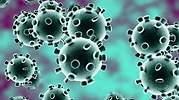 España tiene 500 rastreadores y necesitaría 10.000 para controlar rebrotes de coronavirus
