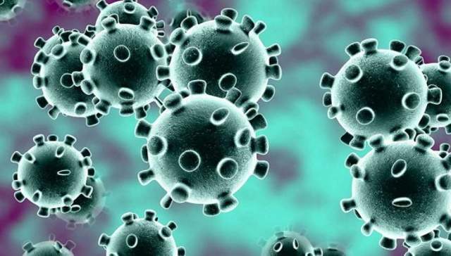 coronavirus.jpg