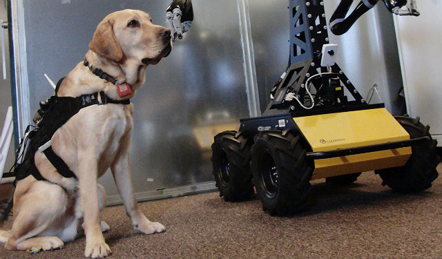robot-perro.jpg