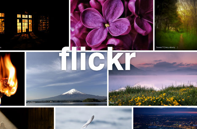 flickr-.jpg