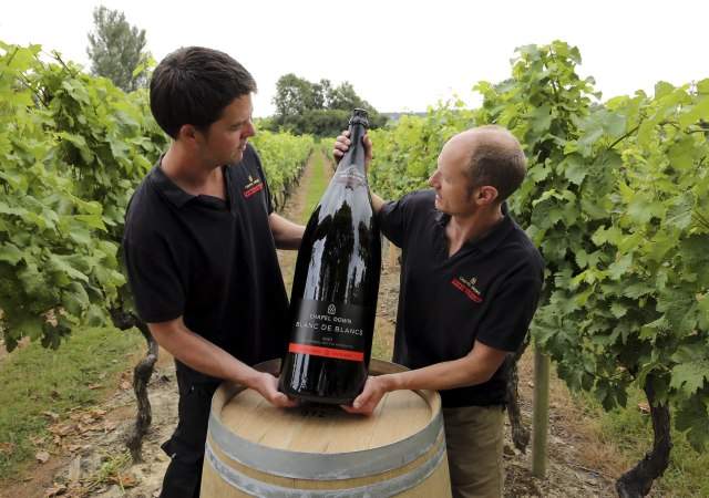 cambios-vino-bloomberg-1.jpg