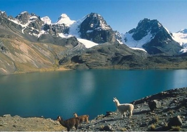 bolivia.jpg