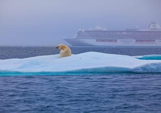 cruise-serenity-1.jpg