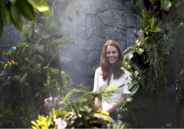 kate-mid1.jpg