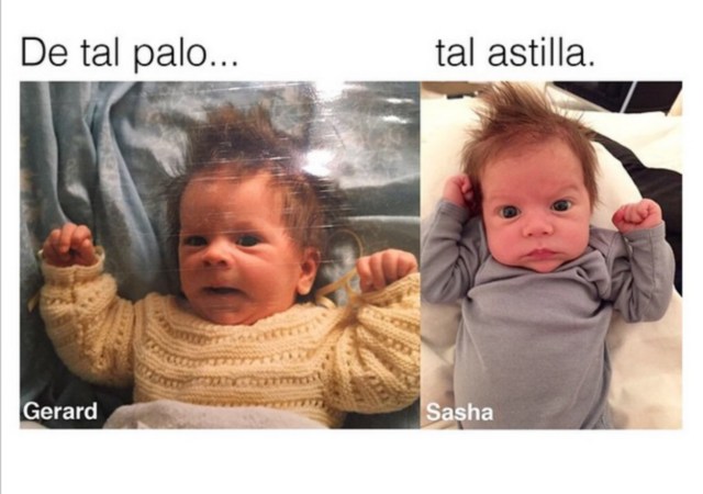 pique-sasha.jpg