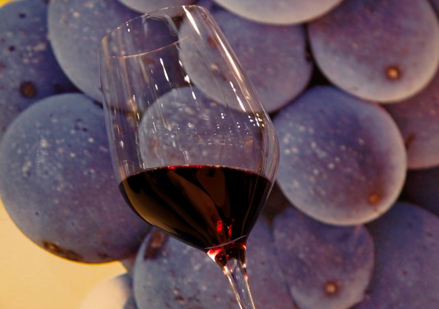 vino2.jpg