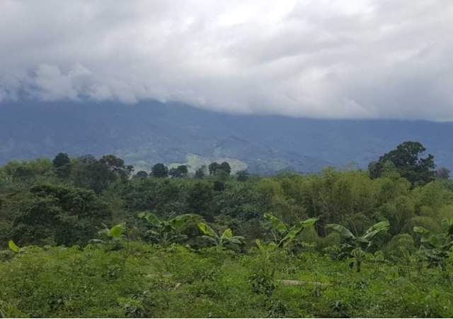 ignacio-vasallo-paraiso.jpg