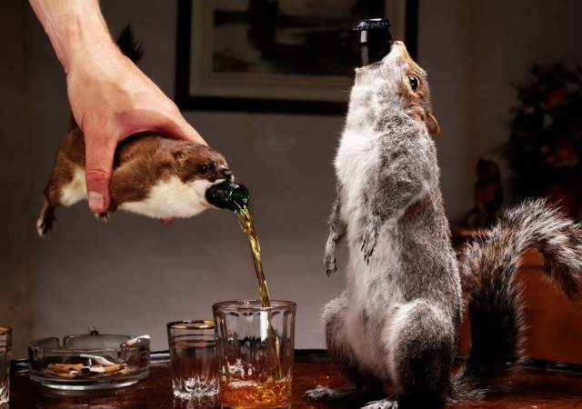 cerveza-ardilla-1.jpg