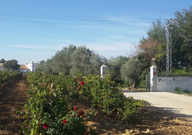 cava-valenciano-2.jpg