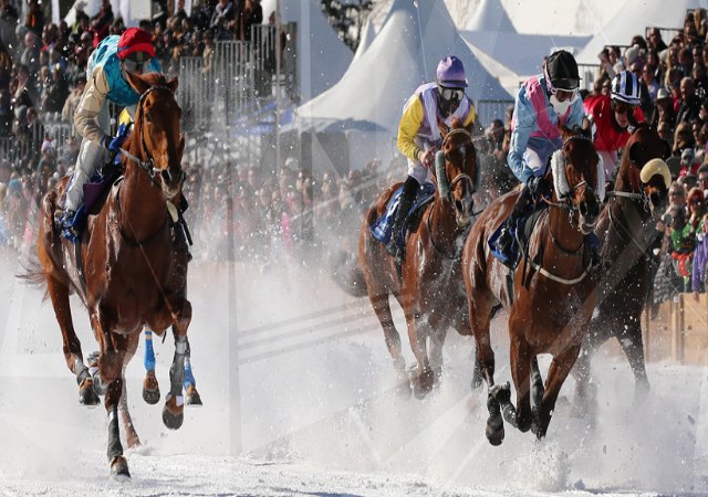 caballos-hielo-0.jpg