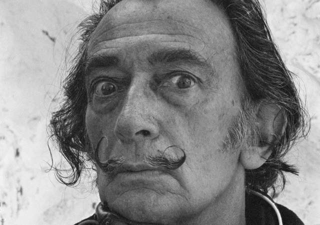 dali-web.jpg
