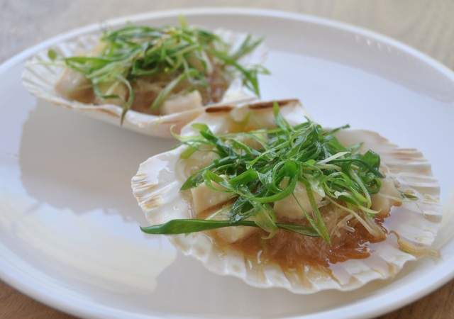 2KionSui-vieiras.jpg