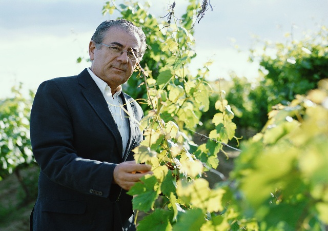 vino33.jpg