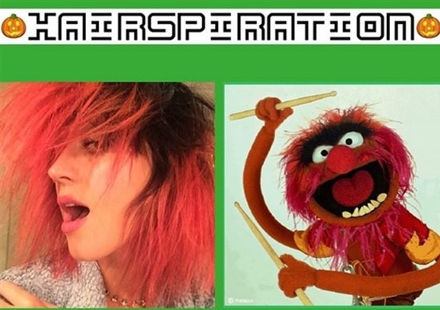 katyteleneko.jpg