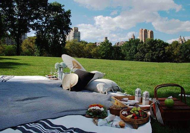 picnic-lujo-portada.jpg