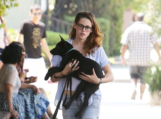 kristen-stewart-perro.jpg
