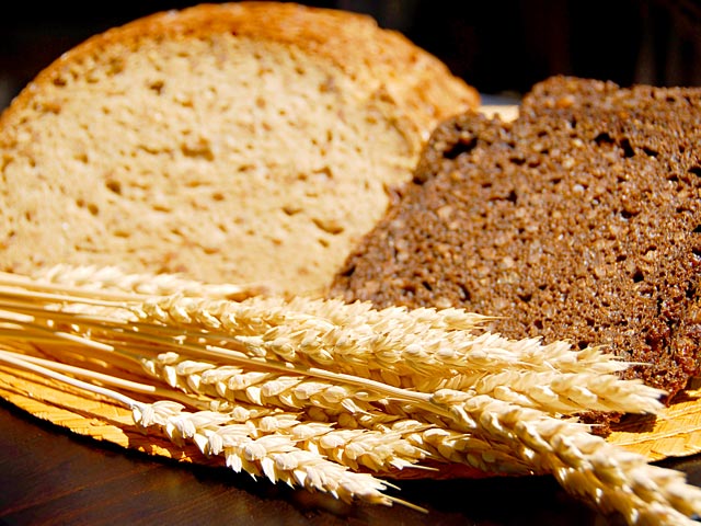 cereales-y-sus-derivados.jpg