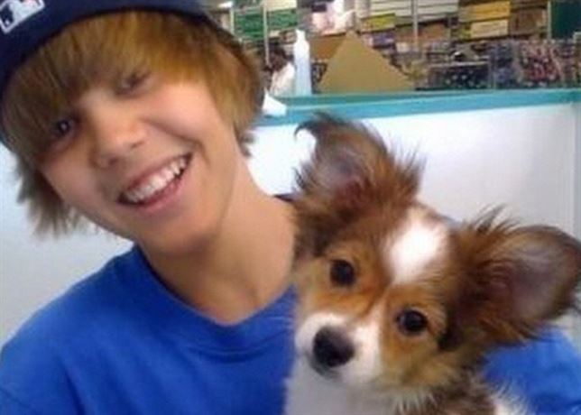 perro-justin.jpg