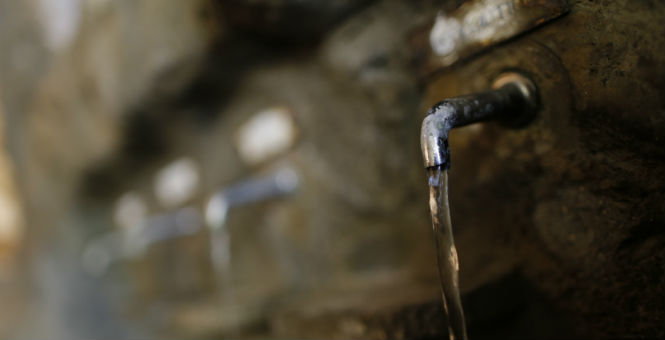 grifo-agua.jpg