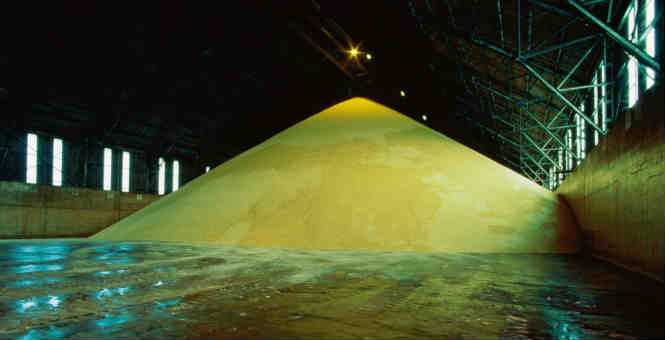 sugar-piled.jpg