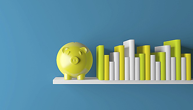 formacion-istock-665-cerdito.jpg