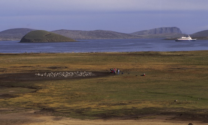 malvinas-petroleo.jpg
