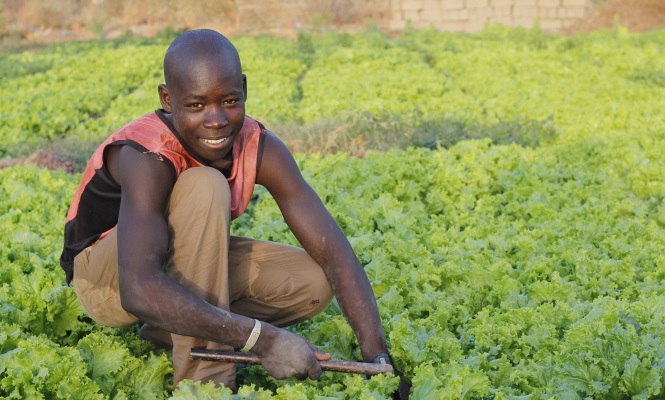 agricultor-africano.jpg