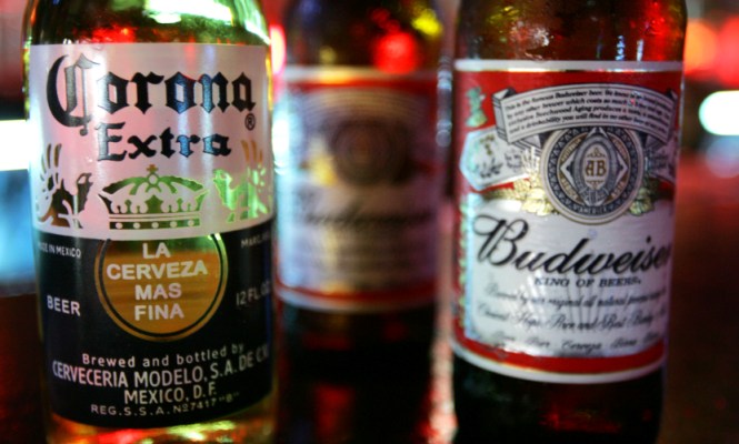 budweiser corona