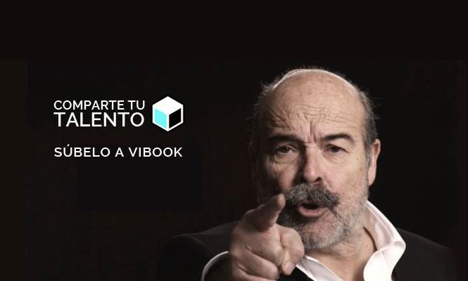 vibook-resines-665.jpg