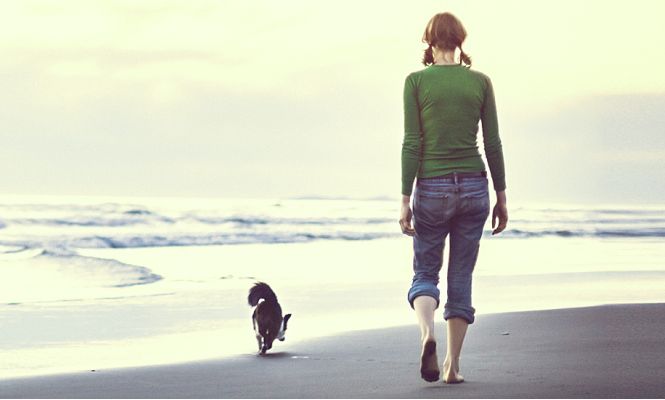 playa-perro-665-getty.jpg