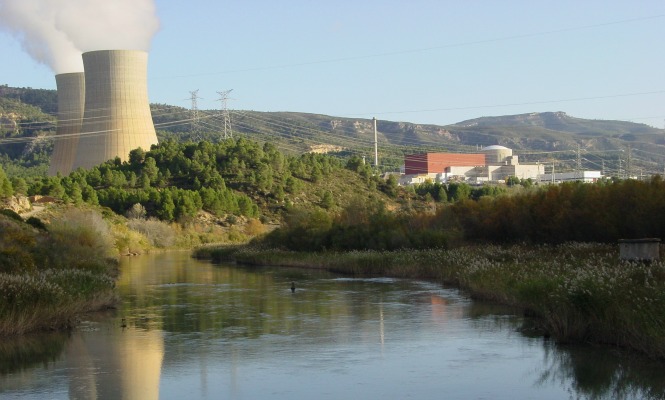 nuclear-trillo.jpg