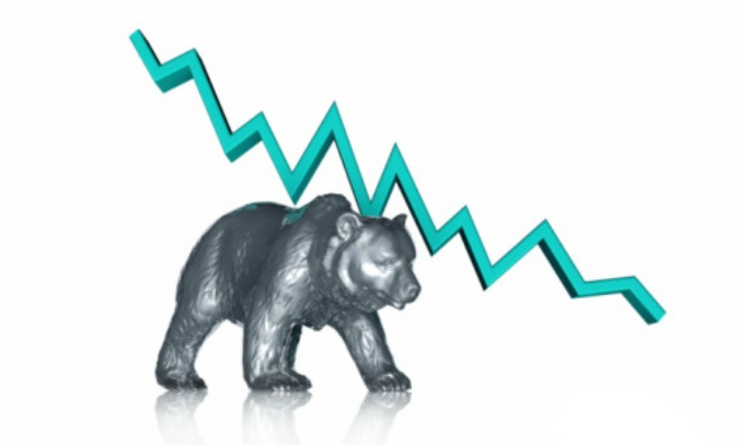oso-grafico.jpg
