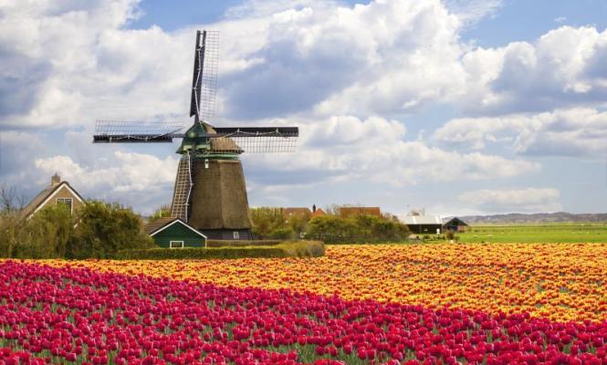 holanda-getty-665.jpg