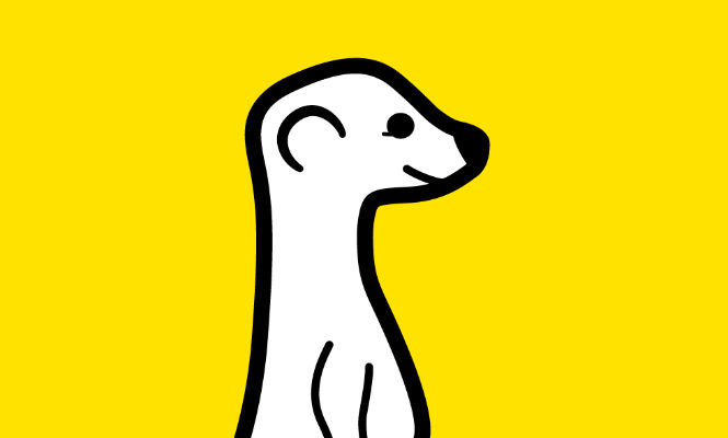 Meerkat.jpg