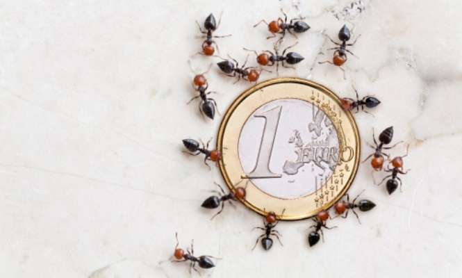 euro hormigas