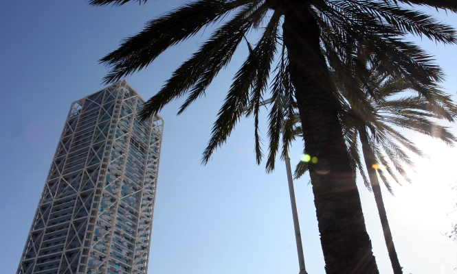hotel-palmera.jpg