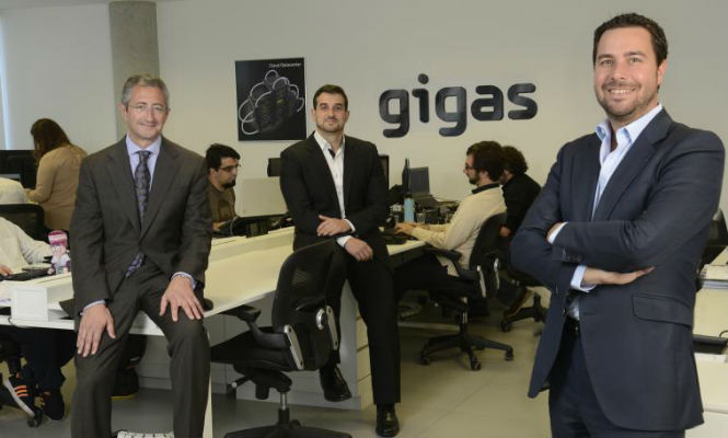 gigas.jpg