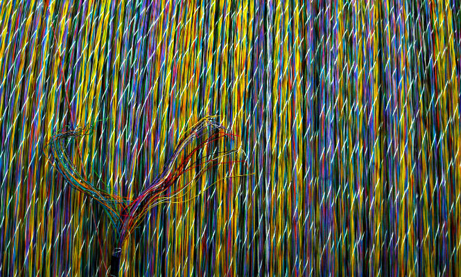 fibra-optica-cable.jpg