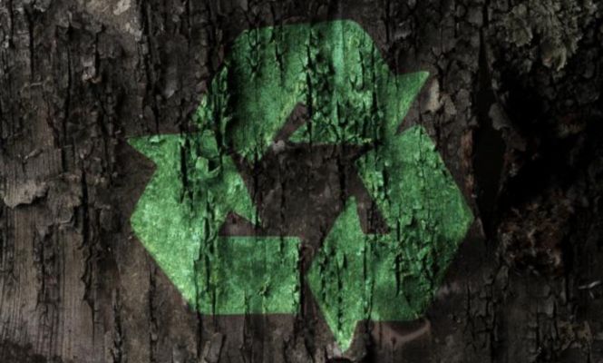 reciclar.jpg
