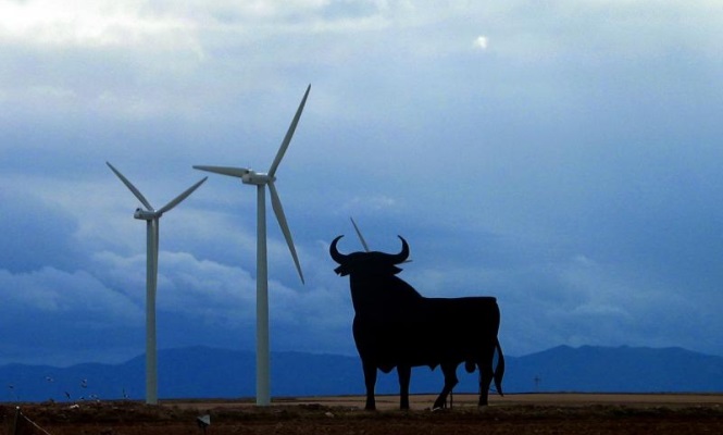 toro-molinos.jpg