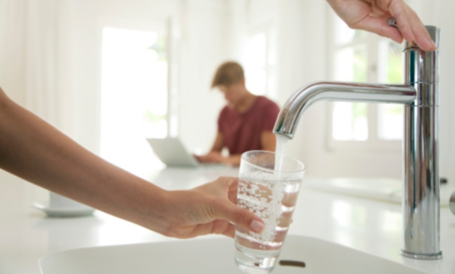 grifo-vaso-agua.jpg