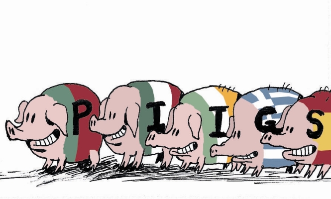piigs