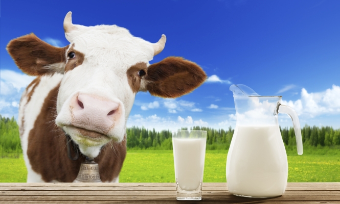 leche-vaca.jpg