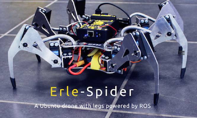 erle-spider-665.jpg