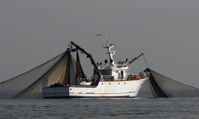 pesca-efe-665.jpg