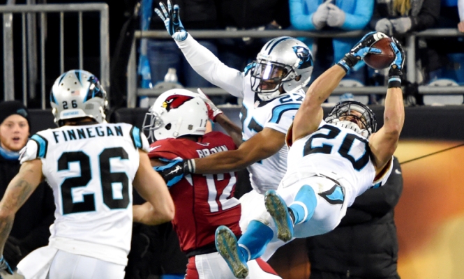 carolina panthers